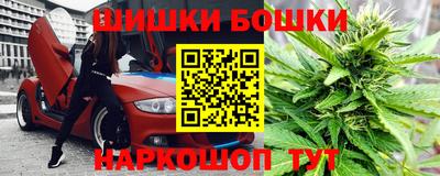 твердый Кингисепп