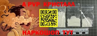 твердый Кингисепп
