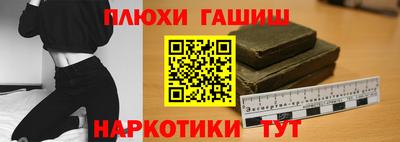 твердый Кингисепп