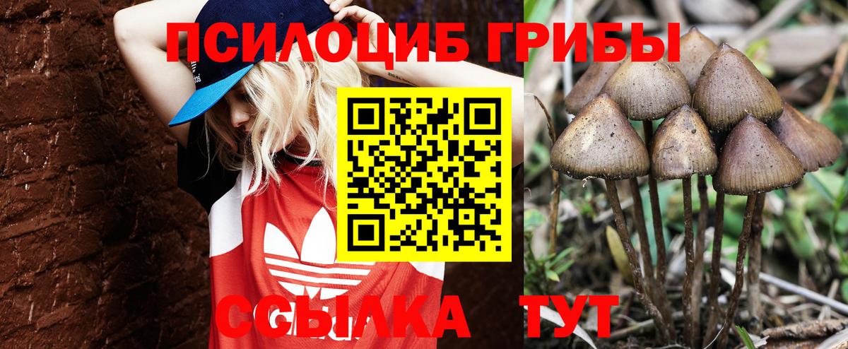 Галлюциногенные грибы Magic Shrooms Лесозаводск