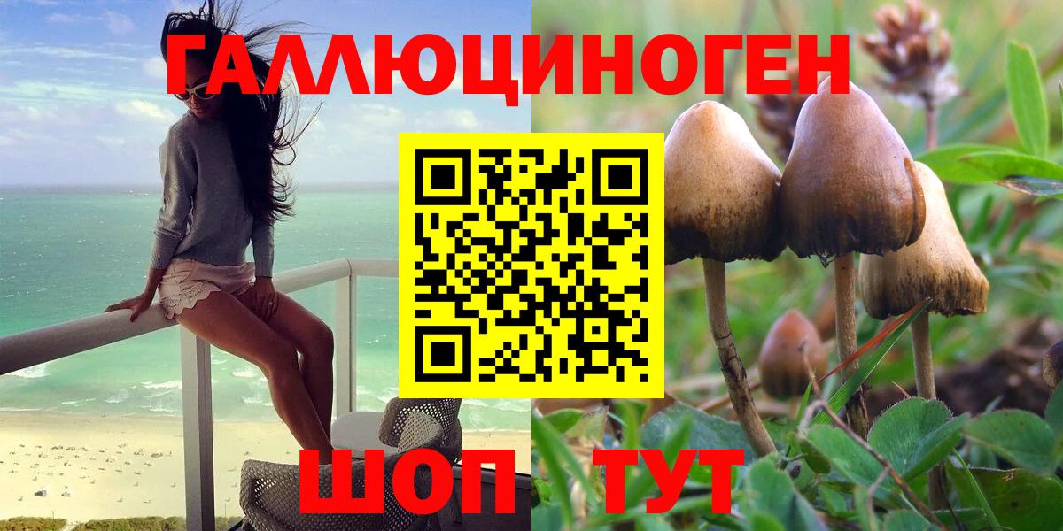 Лесозаводск  Псилоцибиновые грибы прущие грибы  Вход с VPN 